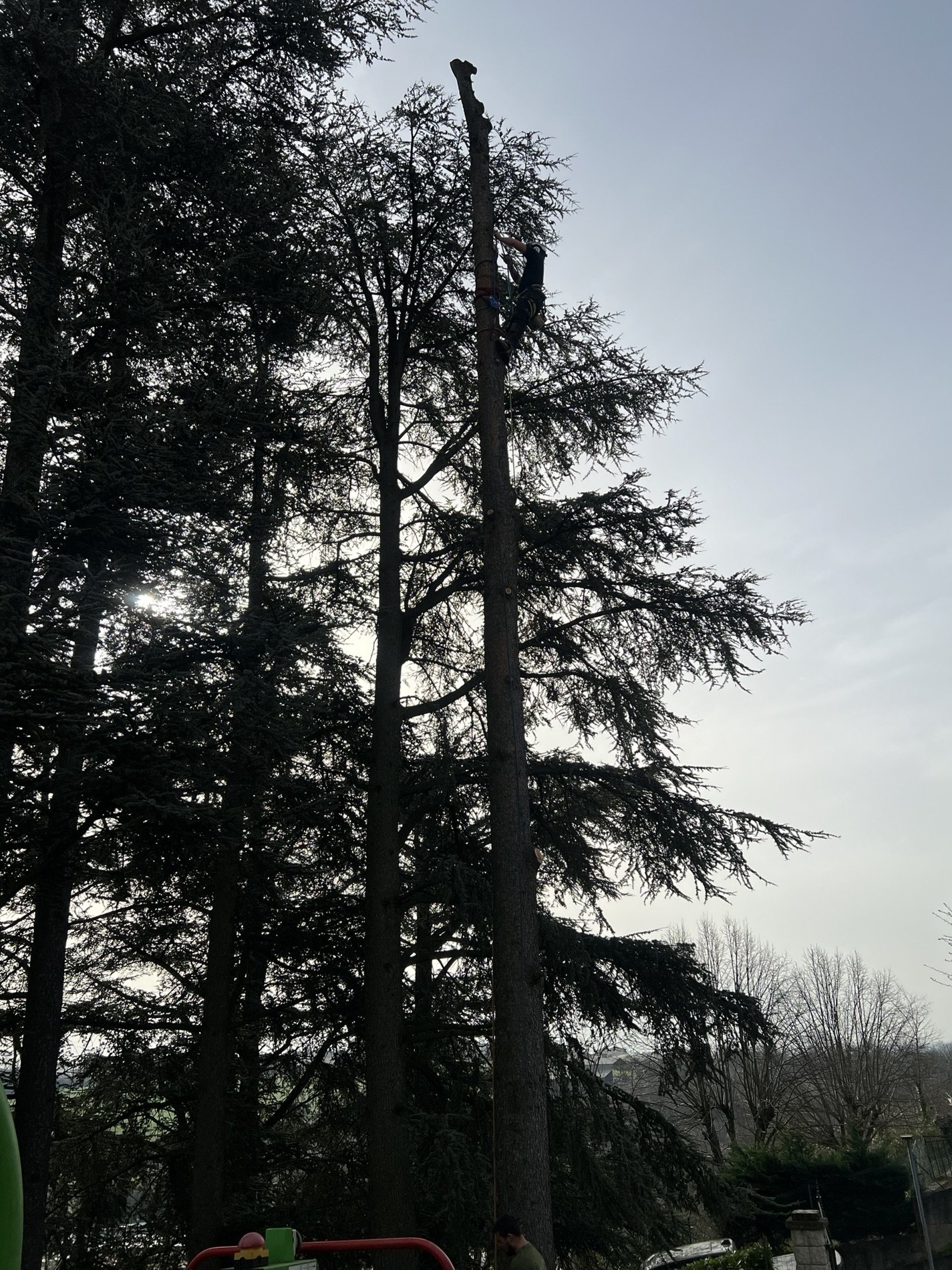 Démontage en grimpe par tronçons