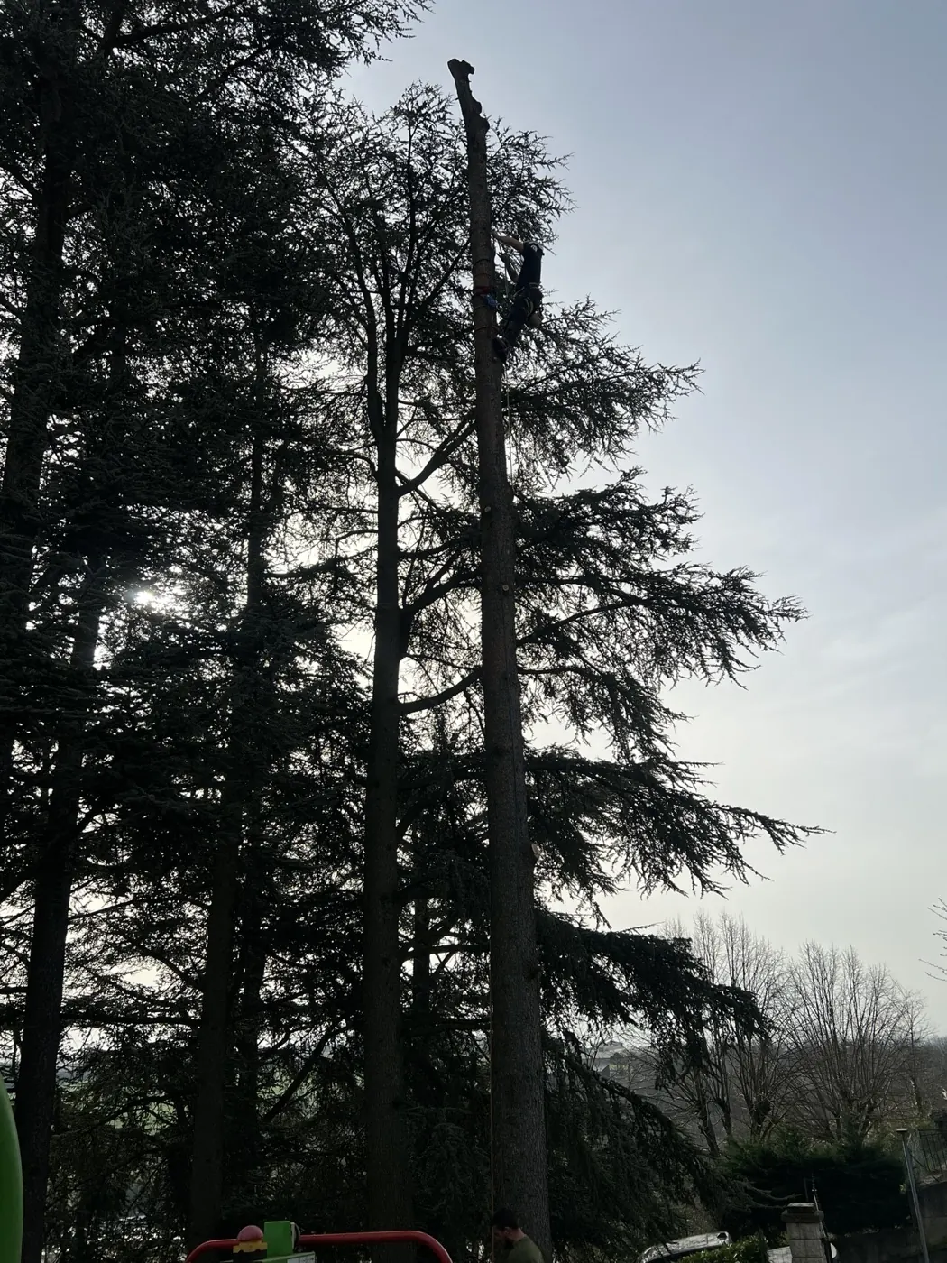 Démontage en grimpe par tronçons