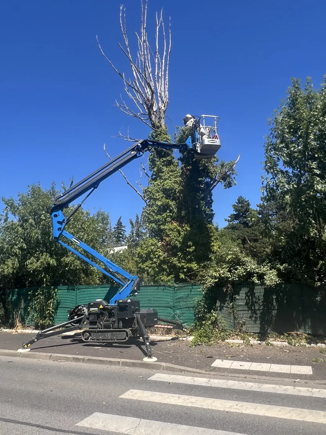 Nacelle araignée utilisée pour un démontage de saule