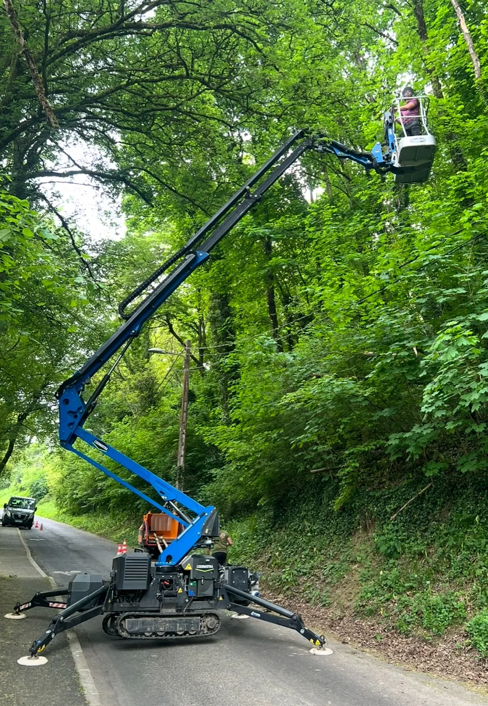 Nacelle utilisée pour une intervention en hauteur sur un grand arbre