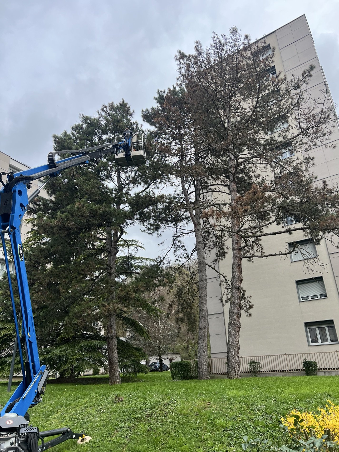 Nacelle araignée près d'un immeuble