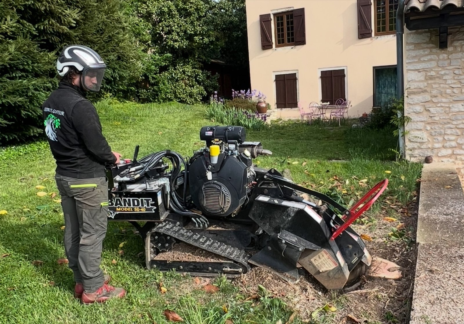 Rognage de souche