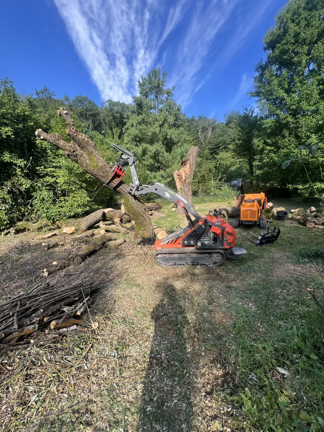 Démontage d'un gros saule cassé par le vent à Saint-Didier-au-Mont-d'Or