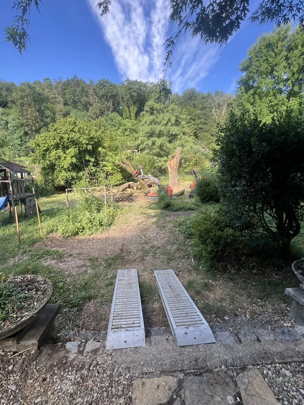 Démontage d'un gros saule cassé par le vent à Saint-Didier-au-Mont-d'Or - autre étape du chantier