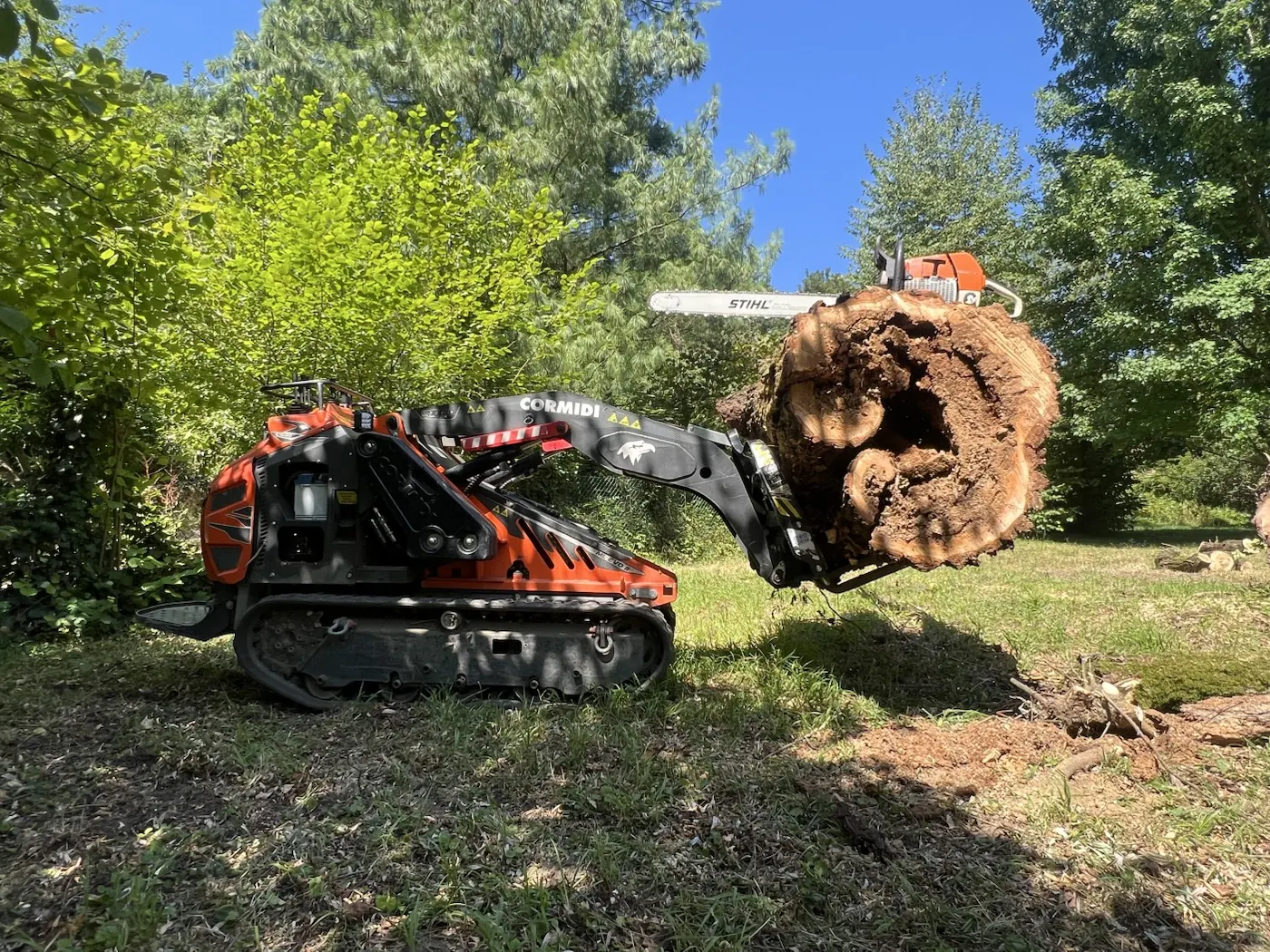 Démontage d'un gros saule cassé par le vent à Saint-Didier-au-Mont-d'Or - autre étape du chantier