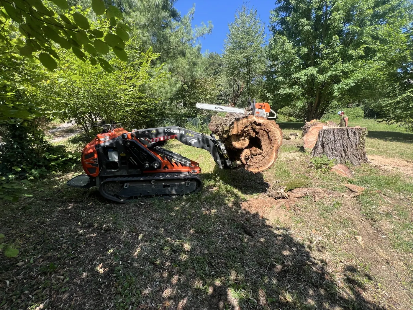 Démontage d'un gros saule cassé par le vent à Saint-Didier-au-Mont-d'Or - autre étape du chantier