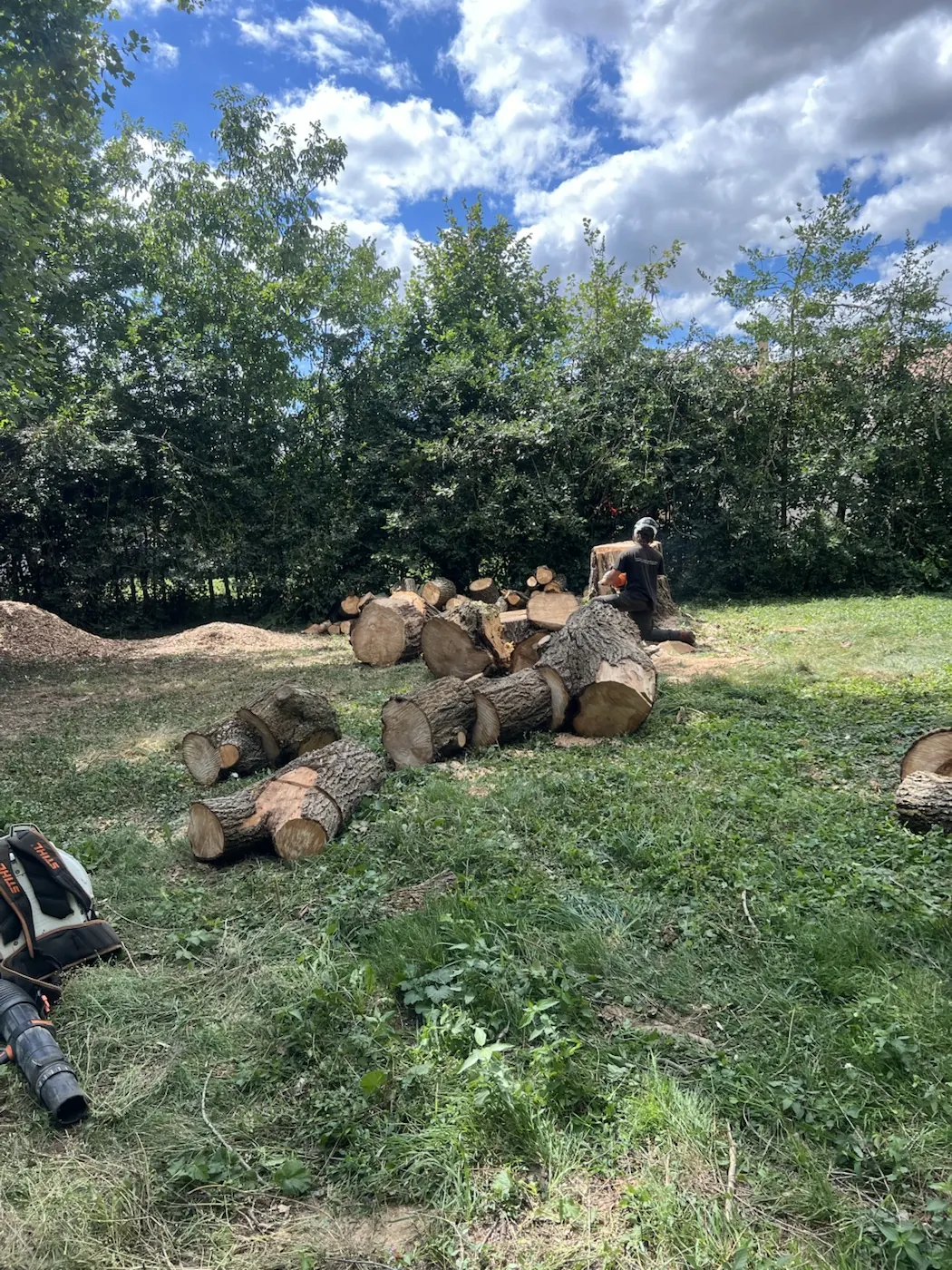 Démontage d'un saule sec avec broyage sur place aux Chères - autre étape du chantier