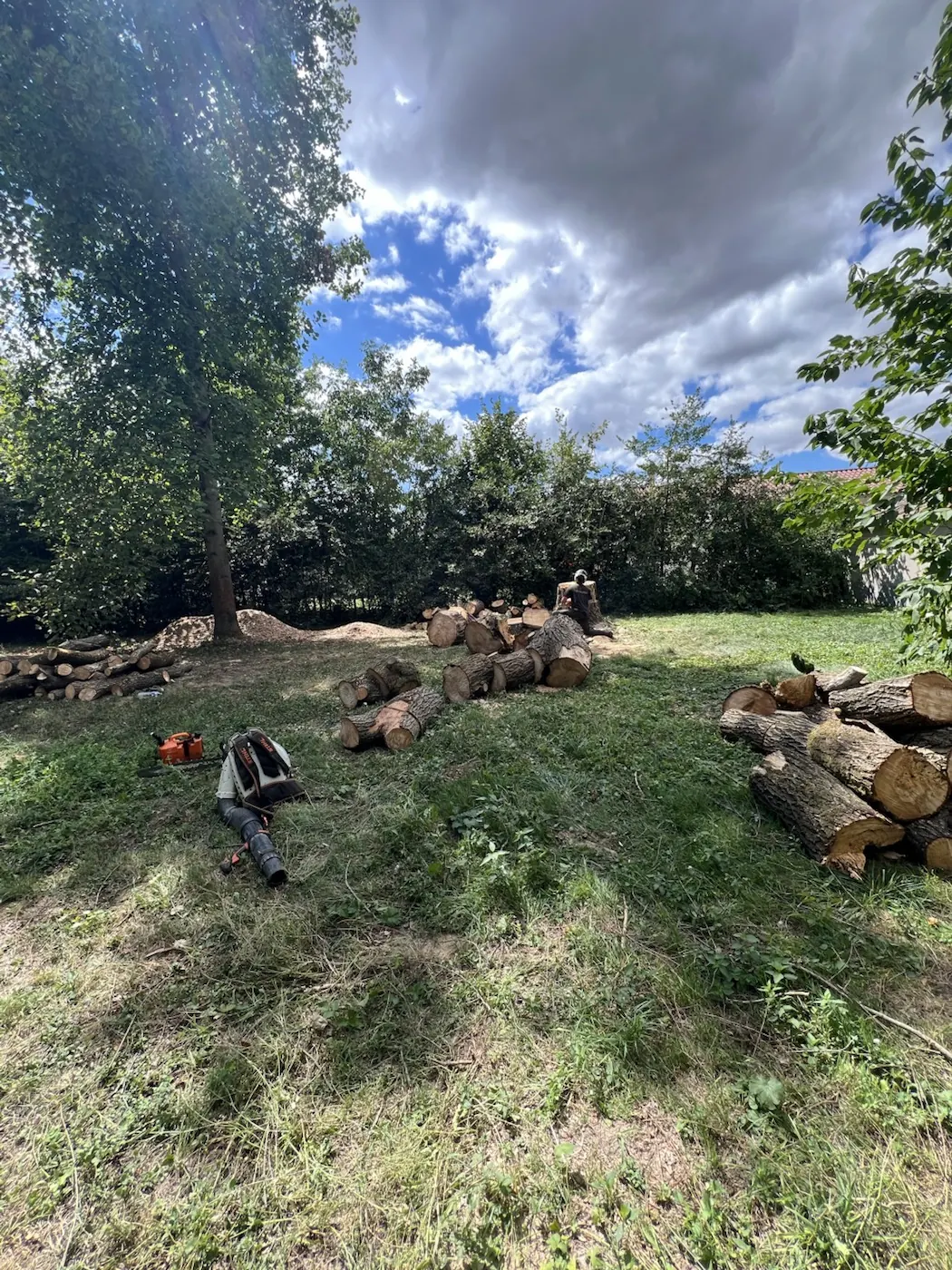 Démontage d'un saule sec avec broyage sur place aux Chères - autre étape du chantier